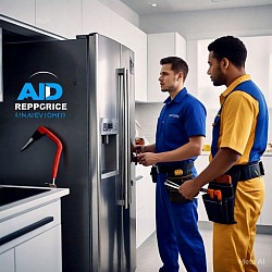 Fridge Repair